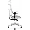 Ergonomisks biroja krēsls Diablo Chairs V-Basic balta-pelēka — regulējams augstums un noliekšana, roku balsti, jostasvietas atbalsts