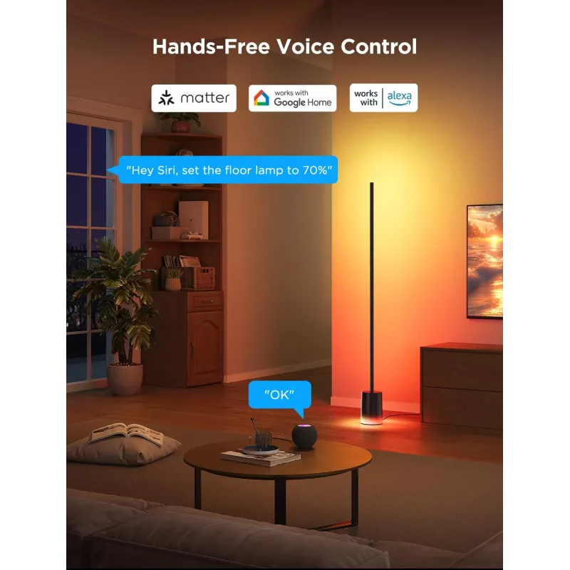 Govee grīdas lampa 2, Matter ready, melna