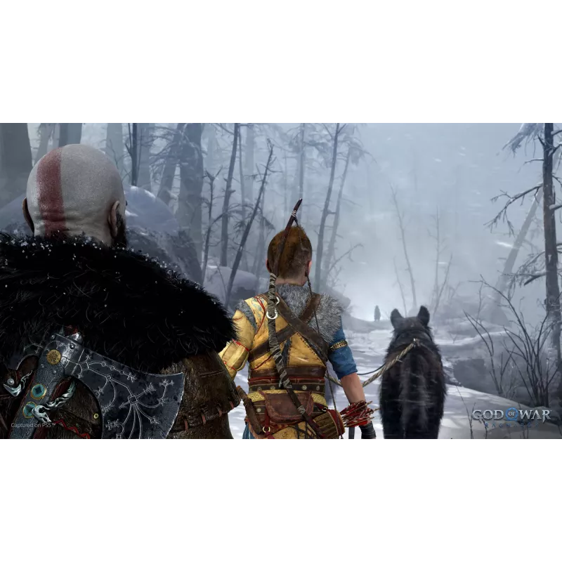 Sony God of War Ragnarök, PlayStation 5, M (pieaugušajiem), fizisks datu nesējs