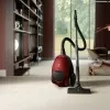 Electrolux PD82-ANIMA 3.5 L cilindra putekļsūcējs sausajai tīrīšanai 600 W putekļu maiss