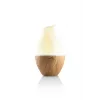 ETA Aroma diffuser Aria ETA463490000 Ultrasonic, piemērots telpām līdz 25 m³, Wood, 460 g