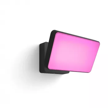 Viedais sienas gaismeklis Philips Hue Discover Outdoor Floodlight LED melns 24 V