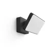 Viedais sienas gaismeklis Philips Hue Discover Outdoor Floodlight LED melns 24 V