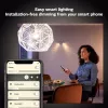 Philips Hue balta A60 – E27 viedspuldze – 800 (2 gab.)