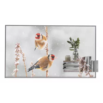 LG 55EW5P-M Signage Displejs 139,7 cm (55 ″) OLED 600 cd/m² Full HD Sudraba Skārienjūtīgs 18/7