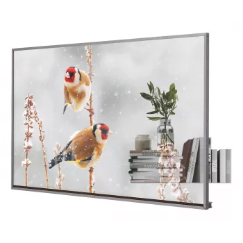 LG 55EW5P-M Signage Displejs 139,7 cm (55 ″) OLED 600 cd/m² Full HD Sudraba Skārienjūtīgs 18/7