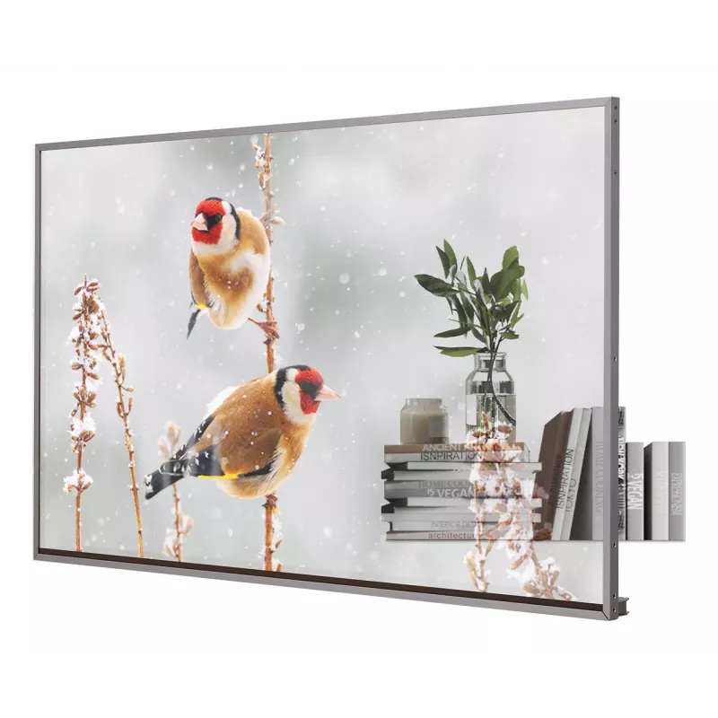 LG 55EW5P-M Signage Displejs 139,7 cm (55 ″) OLED 600 cd/m² Full HD Sudraba Skārienjūtīgs 18/7