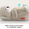 Fisher-Price Soothe 'n Snuggle Otter, plīša mazuļa rotaļlieta, skaņas ierīce ar elpošanas kustību