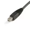 StarTech.com 6 pēdu 4-in-1 USB DVI KVM kabelis ar audio un mikrofonu