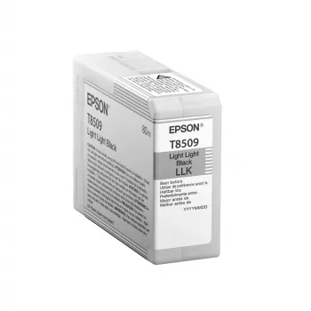 Epson Singlepack Light Light Melns T850900, Gaiši gaiši melna, Pigmenta bāzes tinte, 80 ml, 1 gab.