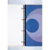 GBC Filestrip CombBind PP caurspīdīgs, caurspīdīga, polivinilhlorīds (PVC), A4, 245 g, 100 gab., Ēģipte