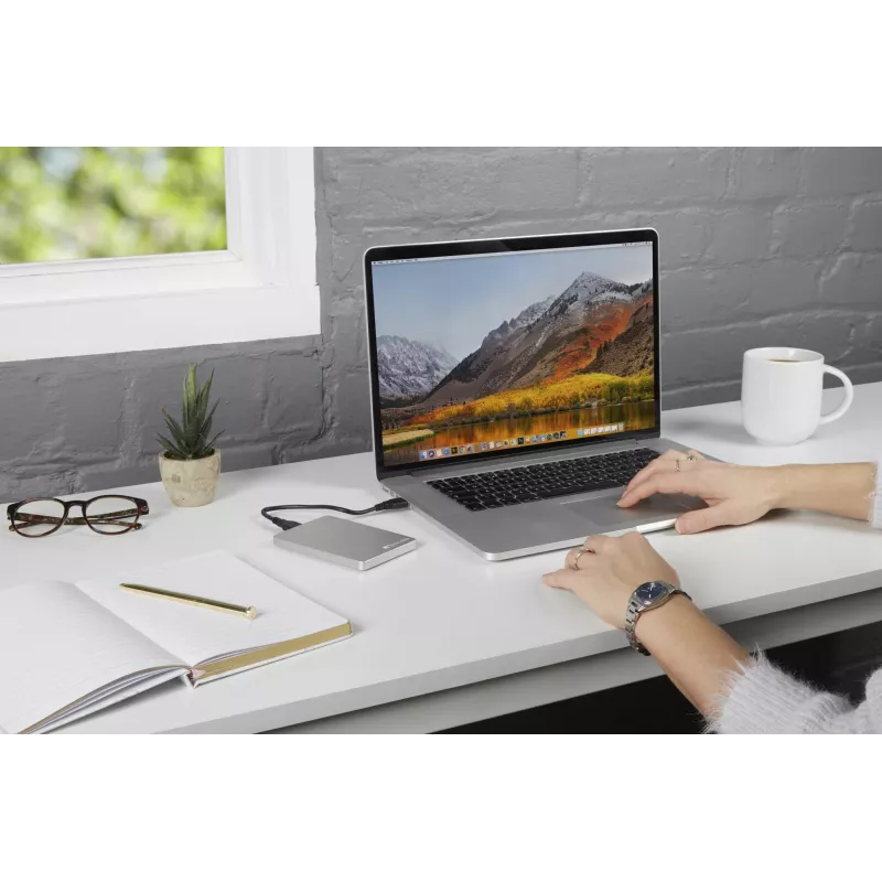 Verbatim Store 'n' Go ALU plāns Portable Hard Drive 1TB Silver