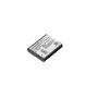 Ricoh DB-110 litija jonu (Li-Ion)