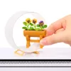 Miniverse Make It Mini Nature - 3. sērija, 8 gadi, Daudzkrāsains, Plastmasa