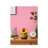 Nintendo Talking Flower, Kolekcionējama figūriņa, Videospēle