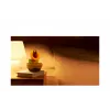 Nintendo Talking Flower, Kolekcionējama figūriņa, Videospēle