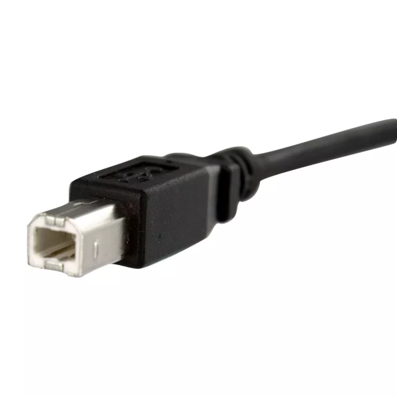 StarTech.com 1 pēdas paneļa montāžas USB kabelis B uz B - vīr./siev., 0,3 m, USB B, USB B, USB 2.0, 0,48 Gbit/s, melns