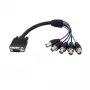 StarTech.com 1 ft Coax HD15 VGA uz 5 BNC RGBHV monitora kabelis - M/F