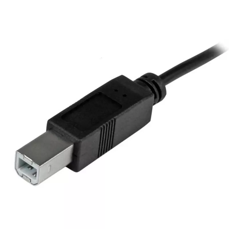 StarTech.com USB-C uz USB-B kabelis – vīr./vīr. – 2 m (6 pēdas) – USB 2.0