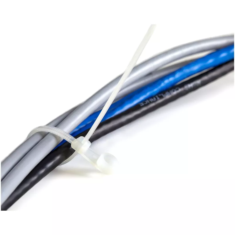StarTech.com 8 collu (20cm) kabeļu saites ar montāžas atveri - 1/8 collas (4mm) platas, 2 collu (52mm) saišķa diametrs, 50 mārciņu (22kg) stiepes izturība, neilons 66 pašbloķējošās saites ar skrūvju atveri, UL sarakstā, 100 iepakojumā