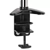 StarTech.com galda stiprinājuma monitora svira vienam VESA displejam līdz 32 collām vai 49 collu platekrānam 8 kg/17,6 lb - pilnas kustības šarnīra un augstuma regulējama - C veida skava, caurlaide - viena monitora svira