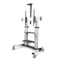 StarTech.com Ritošs TV ratiņi / statīvs uz riteņiem 60–100 collu plakanajiem ekrāniem līdz 220 lb (100 kg), augstuma regulēšana ar rokas kloķi, mobilais / portatīvais grozs stiprinājumam