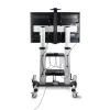 StarTech.com Ritošs TV ratiņi / statīvs uz riteņiem 60–100 collu plakanajiem ekrāniem līdz 220 lb (100 kg), augstuma regulēšana ar rokas kloķi, mobilais / portatīvais grozs stiprinājumam