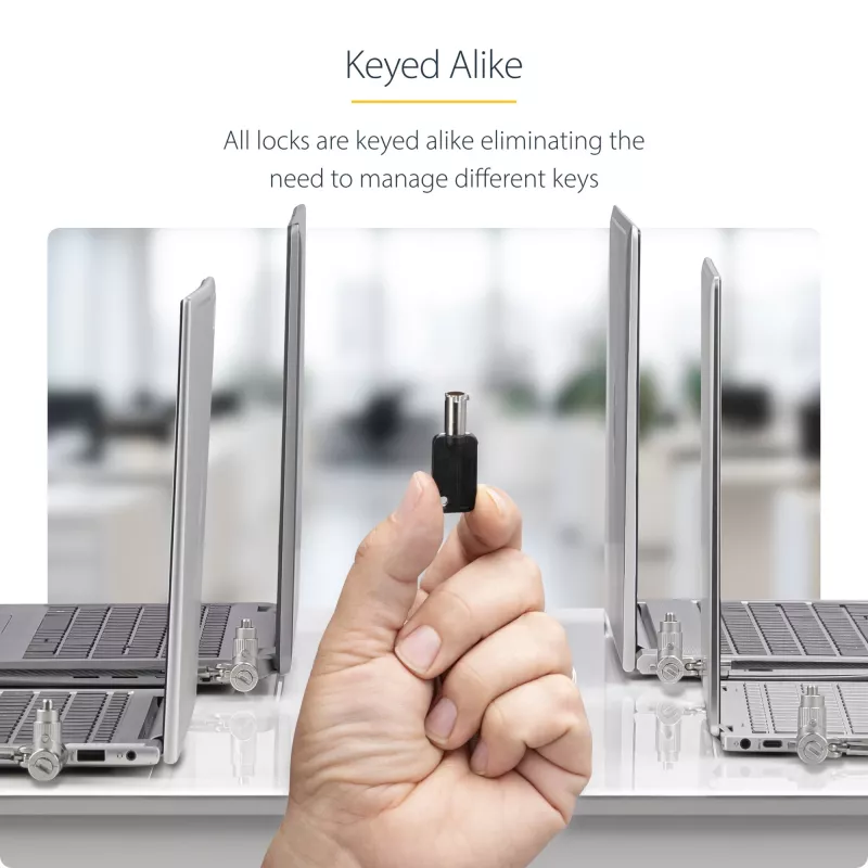 StarTech.com 25 iepakojumā universāla klēpjdatora slēdzene 6,6 pēdas, ar vienādu atslēgu bloķēšanas kabelis, drošības kabelis, saderīga ar Noble Wedge®/Nano/K-Slot, pretzagšanas, izturīgs pret pārgriešanu