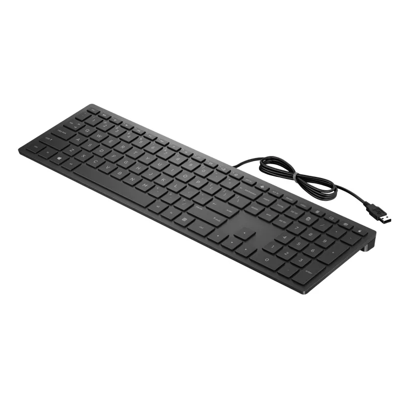 HP Pavilion vadu tastatūra 300, pilna izmēra (100%), vadu, USB, mehāniska, melna