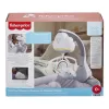 Fisher-Price Rainbow Showers Bassinet to Bedside Mobile, gultiņa, skaņa, naktslampiņa, iebūvēts taimeris, audums, plastmasa