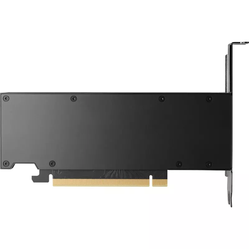 HP NVIDIA RTX 2000 Ada 16GB GDDR6 grafiskā karte, 4x Mini DisplayPort (8D6B8AA)