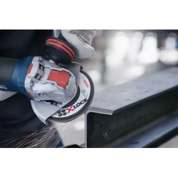 Bosch 2 608 619 198 leņķa slīpmašīnas piederums Plākšņu slīpdisks