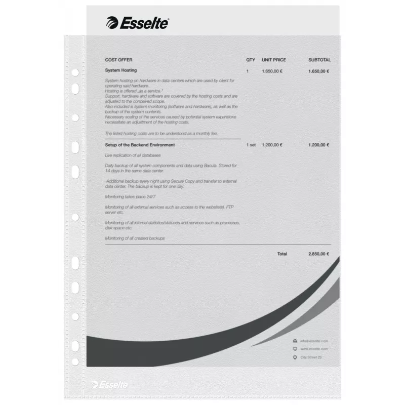 Esselte plastikāta kabatiņas A4 – Economy –, 210 x 297 mm (A4), caurspīdīgas, polipropilēns (PP), portretorientācija, augšējā atvere, 230 mm