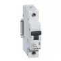 Legrand RX3 strāvas slēdzis Miniatūrs automātslēdzis Tips B 1