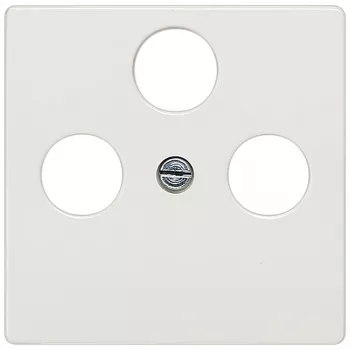 Siemens 5TG2548-2 sienas plāksne/slēdža pārsegs