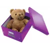 Leitz Click & Store WOW Vidēja izmēra uzglabāšanas kaste, violeta, kartons, 16,7 L, 281 mm, 200 mm, 265 x 335 x 188 mm