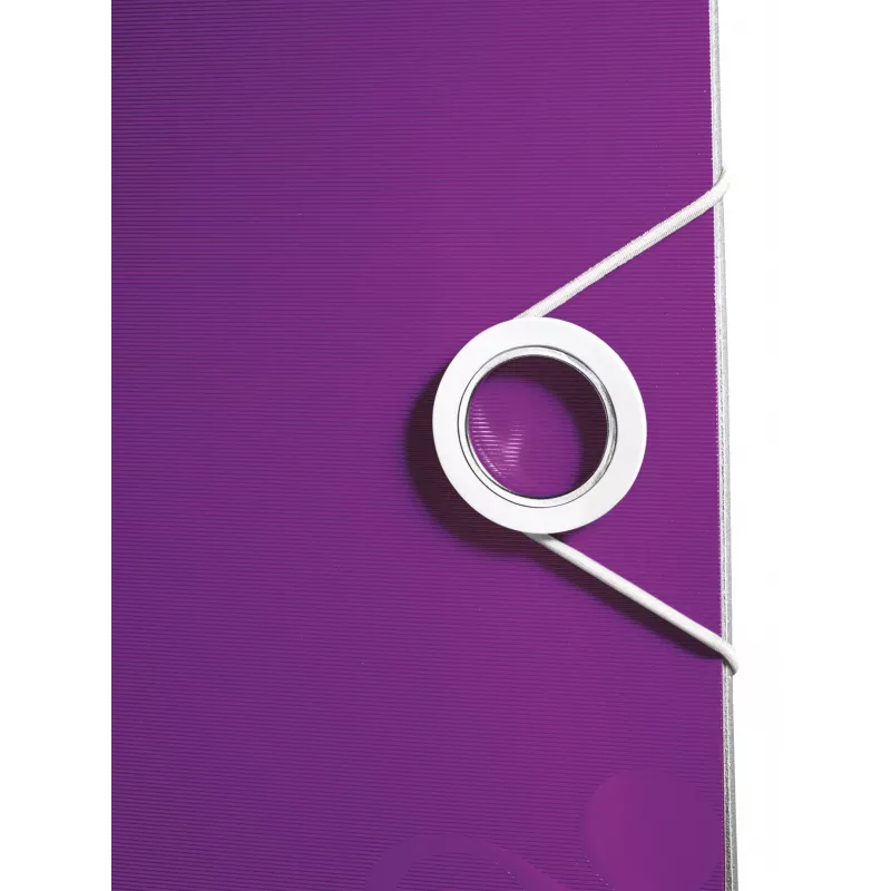 Leitz sviras ātršuvējs Active PP WOW A4/80mm, A4, poliuretāna putas, violets, 500 lapas, 80 g/m², 8.2 cm