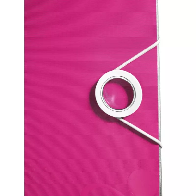 Leitz sviru reģistrators Active PP WOW A4/65mm, A4, poliuretāna putas, rozā, 350 loksnes, 80 g/m², 6,5 cm