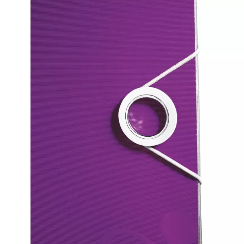 Leitz svirasmapes mape Active PP WOW A4/65mm, A4, poliuretāna putas, violeta, 350 loksnēm, 80 g/m², 6,5 cm