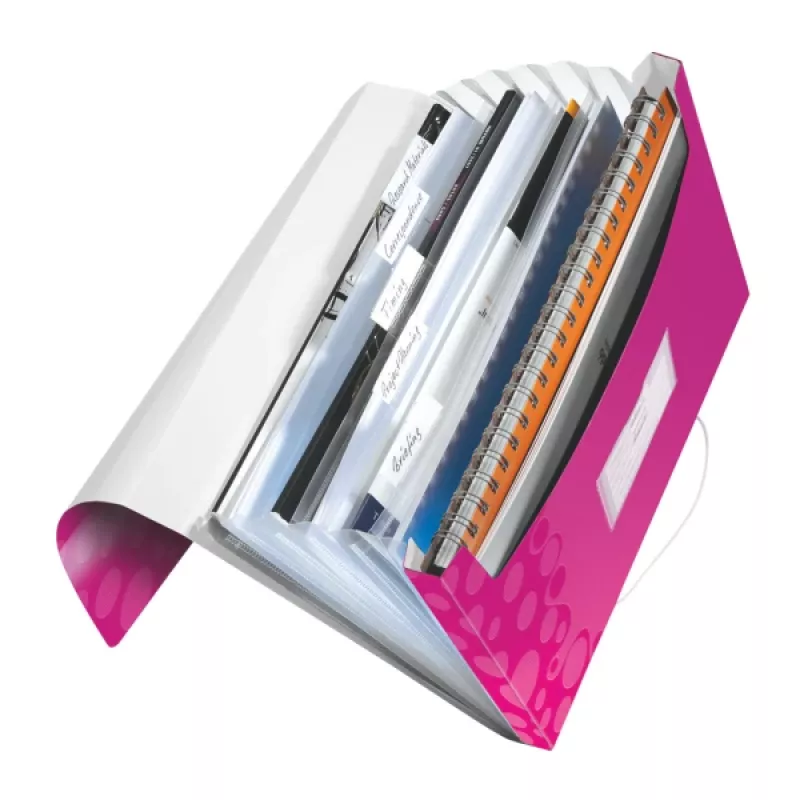 Leitz Project File WOW PP, parasta dokumentu mape, A4, polipropilēns (PP), metālisks, rozā, 200 loksnes, 254 mm
