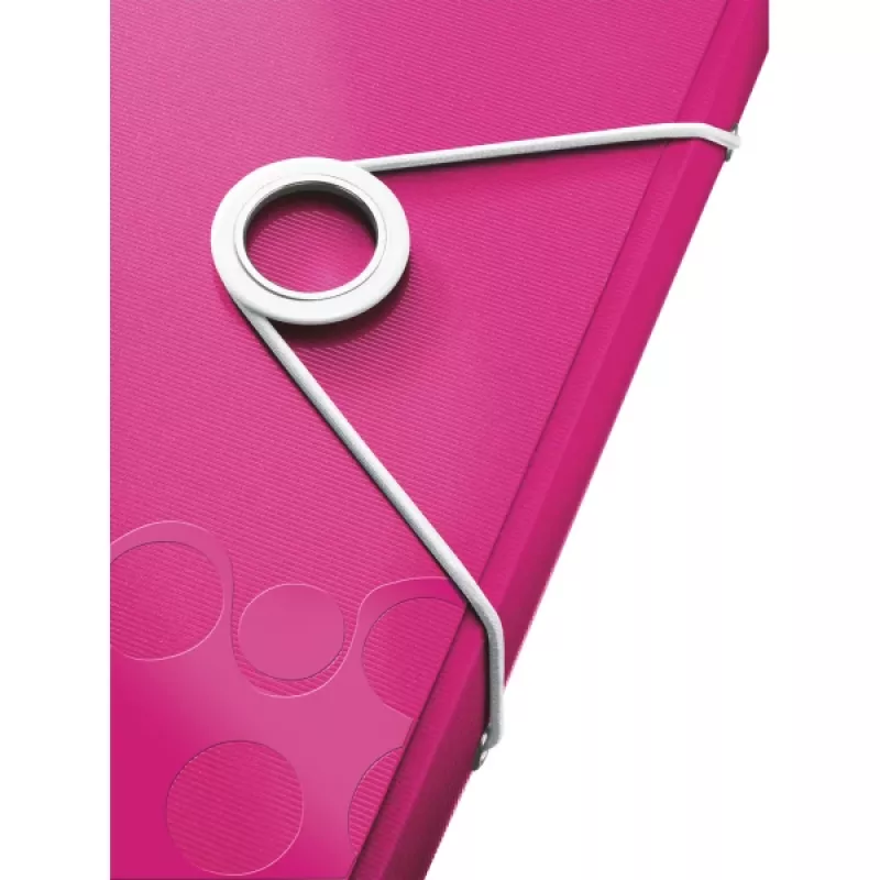 Leitz Project File WOW PP, parasta dokumentu mape, A4, polipropilēns (PP), metālisks, rozā, 200 loksnes, 254 mm