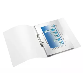 Leitz 42570023 aktu vāciņš A4 Metālisks, Rožu