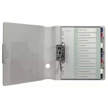 Leitz Index PC Printable 1-10 Style PP A4+, ciparu ieliktņu rādītājs, polipropilēns (PP), daudzkrāsains, portrets, A4 Maxi, 245 mm