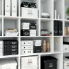 Leitz Uzglabāšanas Kaste Click & Store WOW Cube Medium, fuksija, kartons, 260 mm, 260 mm, 240 mm
