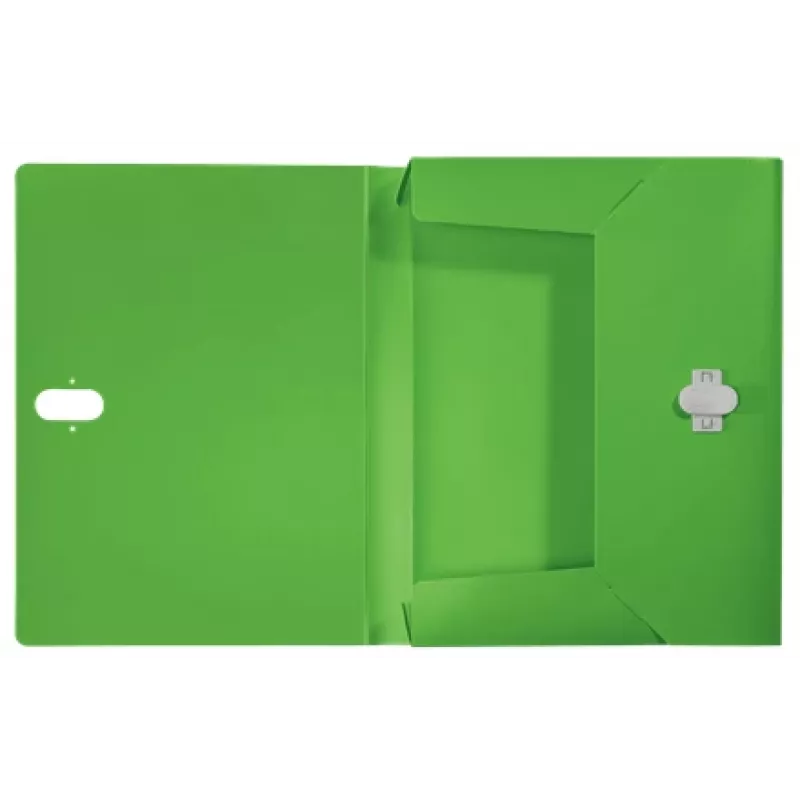 Leitz Recycle Box File, parasta dokumentu mape, A4, polipropilēns (PP), zaļa, ainava/portrets, 250 lapas