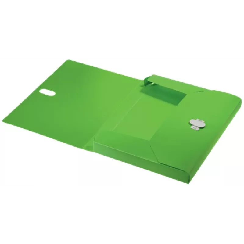 Leitz Recycle Box File, parasta dokumentu mape, A4, polipropilēns (PP), zaļa, ainava/portrets, 250 lapas