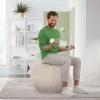 Leitz Ergo aktīvā sēdbumba ar apturēšanas funkciju 65 cm, pelēka, pilna izmēra, 150 kg, pieaugušajiem, pieaugušo, TÜV
