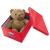 Leitz Box Click & Store WOW Cube Lielā glabāšanas kaste, Glabāšanas kaste, Sarkana, Taisnstūrveida, Kartons, Vienkrāsaina, Iekštelpām