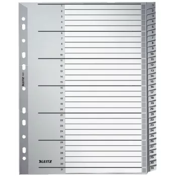 Leitz 12810000 tabulācijas ieliktnis Ciparu tabulācijas ieliktnis Kartons Pelēks