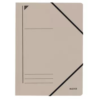Leitz 39800085 mape Kartons Pelēks A4